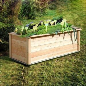 4betterdays Hochbeet aus Massivholz 'Veggie' - mit und ohne Frühbeetaufsatz - Gartenbau | Nachhaltige Produkte